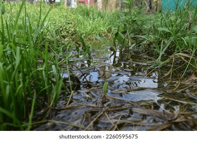 Photos of stagnant water taken from the surface are a feast for the eyes, Indonesia. Aceh 11 February 2023
