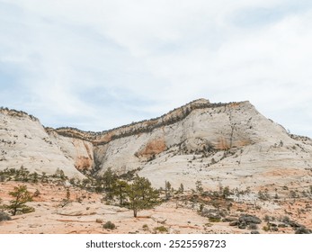 Photos of Valley of Fire, Nevada, often showcase stunning red sandstone formations, vibrant desert landscapes, and sweeping views of jagged rocks, arches, and petroglyphs under clear blue skies - Powered by Shutterstock