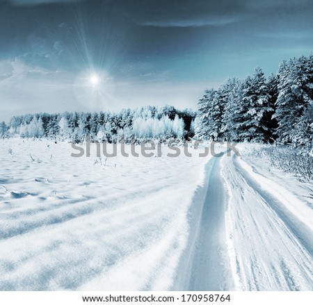 Similar – Image, Stock Photo Winter path…