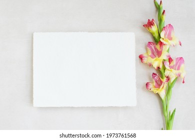 Photostock wedding styled composition. Feminine desktop mockup scene with leaves, Amaryllis flower, silk ribbon, blank greeting card on white textured concrete background. Flat lay, top view.