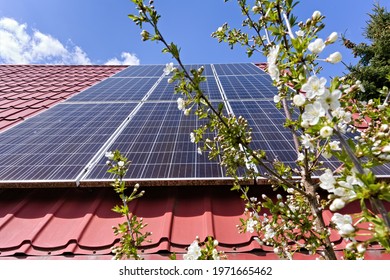 Photovoltaic Panels On A Slanted Roof And Fruit Tree Flowers 