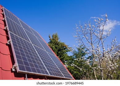 Photovoltaic Panels On A Slanted Roof And Fruit Tree Flowers