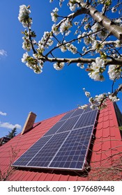 Photovoltaic Panels On A Slanted Roof And Fruit Tree Flowers