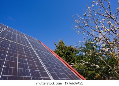 Photovoltaic Panels On A Slanted Roof And Fruit Tree Flowers