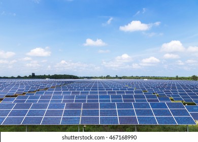 Photovoltaics Module In Solar Farm Station  