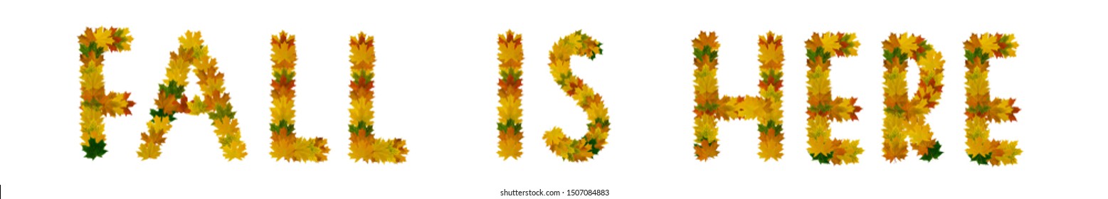 Phrase Fall is here of yellow, green and orange maple autumn leaves close-up. Isolate on white background - Shutterstock ID 1507084883
