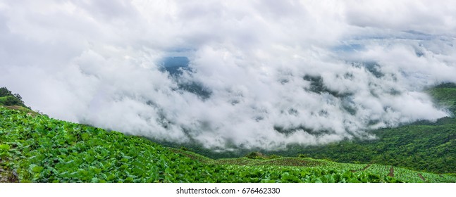 Phu Tub Berk Thailand