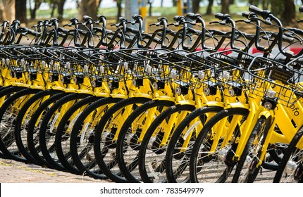 the yellow bike project