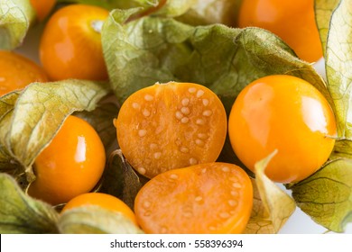 Physalis