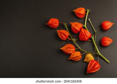 ほおずき の画像 写真素材 ベクター画像 Shutterstock