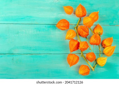 ほおずき の画像 写真素材 ベクター画像 Shutterstock