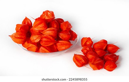Physalis common bladder cherry, Chinese lantern, Japanese lantern, Groundcherry strawberry, Japan, its bright and lantern-like fruit cups make up a traditional part of the Bon festival