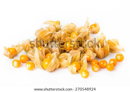 physalis isolated on white background