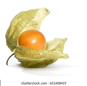 Physalis Or Winter Cherry, Isolated On White Background.