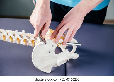 Physical therapist demonstrates how to apply IASTM tool to treat sacroiliac joint on Flexible Chiropractic Spine Model, Instrument assisted soft tissue mobilization technique for soft tissue treatment