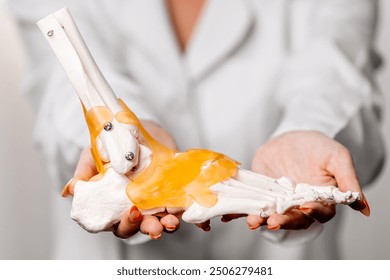 A physician in a white coat presents a detailed foot model, ideal for patient education or professional consultations. Emphasizes orthopedic and anatomical insights. - Powered by Shutterstock