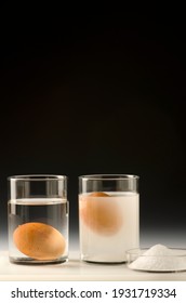 Physics. Water density science experiment. Egg floating in salt water. Black background. - Shutterstock ID 1931719334