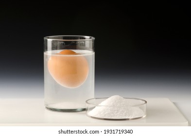 Physics. Water density science experiment. Egg floating in salt water.Black background. - Shutterstock ID 1931719340