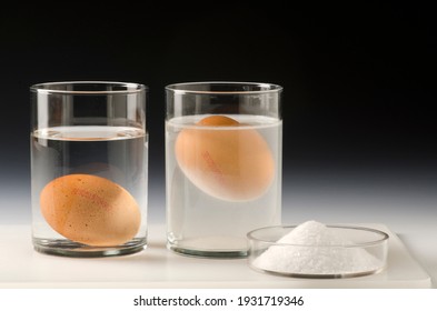 Physics. Water Density Science Experiment. Egg Floating In Salt Water.Black Background.