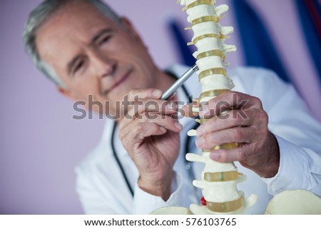 Physiotherapist examining a spine model in clinic