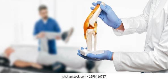 Physiotherapist holds an anatomical human knee-joint model in his hands, over background physiotherapy session for an elderly patient. Concept physio treatment and kinesiotherapy - Shutterstock ID 1898416717