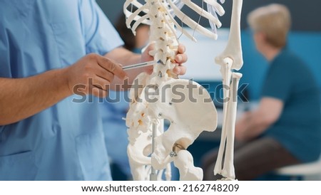 Physiotherapist pointing at back bones on human skeleton to explain pain and mechanical disorders, finding diagnosis for recovery. Medic showing spinal cord, osteopathy system. Close up.
