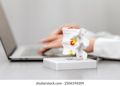 A physiotherapist studies and enters data on a laptop in their office, with a spine model nearby. Perfect for illustrating modern healthcare, professional consultation, and personalized patient care. - Powered by Shutterstock