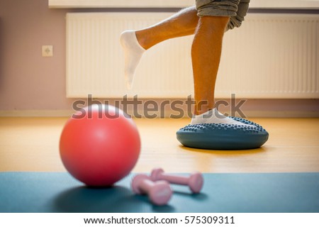 Physiotherapy ball and weights with equilibrium pillow