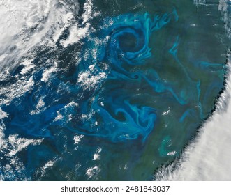 Phytoplankton bloom in the North Atlantic Ocean.  Elements of this image furnished by NASA. - Powered by Shutterstock