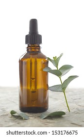 Phytoterapy - Eucalyptus Essential Oil