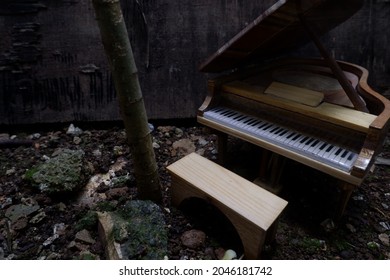 Piano In Backyard No People