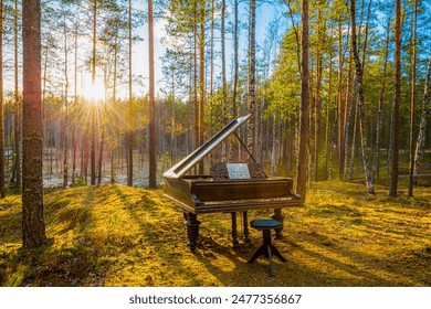 A piano in the forest. Sunset behind the forest. Small forest lake. Moss-covered glade. Sun rays. Summer day. Beautiful nature. Russia, Europe. - Powered by Shutterstock