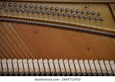 piano hammers with strings close up