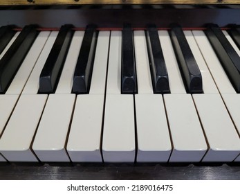 Piano Keys Octave Black And White