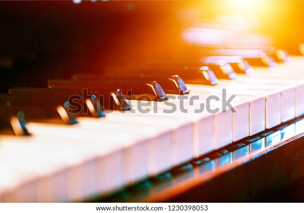 The piano was set up in the music room by the\
windows in the morning to allow the pianist to rehearse before the\
classical piano performance in celebration of the great\
businessman\'s success.