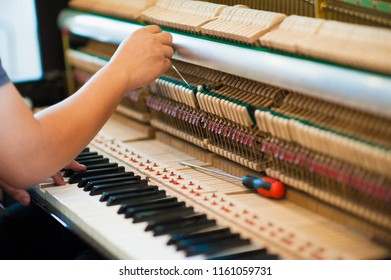 Piano technician  is checking the piano for the customer.Internal parts of the piano - Powered by Shutterstock