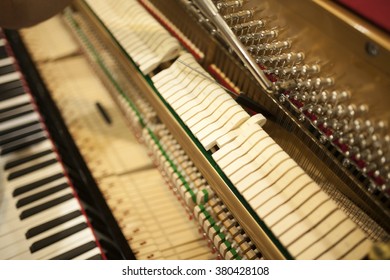 Piano Tuning