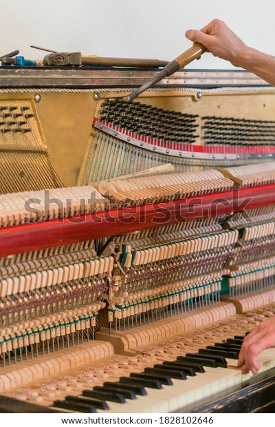 Piano tuning process. closeup of hand and\
tools of tuner working on grand piano. Detailed view of Upright\
Piano during a tuning. vertical photo.\
toned