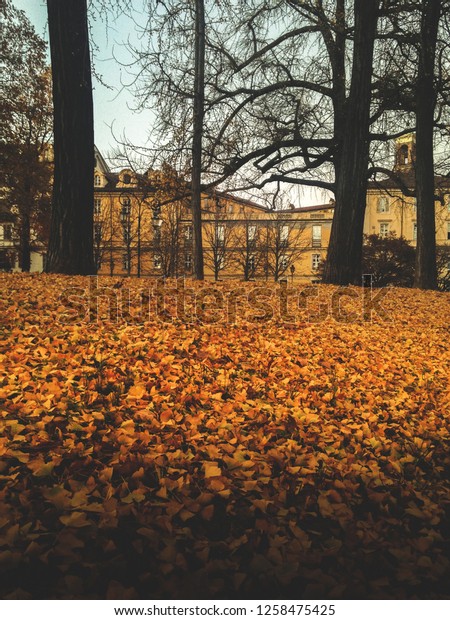 Piazza Cavour Torino December Stock Photo Edit Now