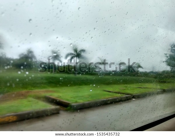 Pic taken on rainy day
through car window glass, coconut trees can be seen through glass
near sea shore.