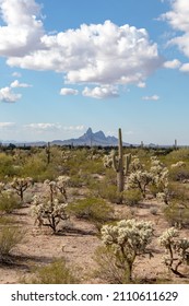 Picacho Peak - Red Rock, Arizona - January 2022