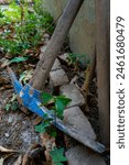 A pickaxe, or pick is a generally T-shaped hand tool used for prying. Garden tools in an organic Indian farmland, traditional farming practices.