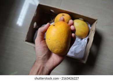 Picking Mangoes From The Box