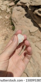 Picking Up Rocks In Somaliland