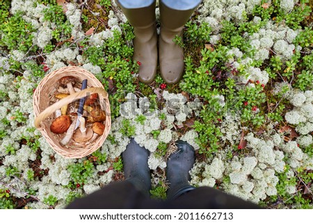 Similar – Image, Stock Photo Mushroom