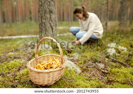 Similar – Image, Stock Photo Mushroom