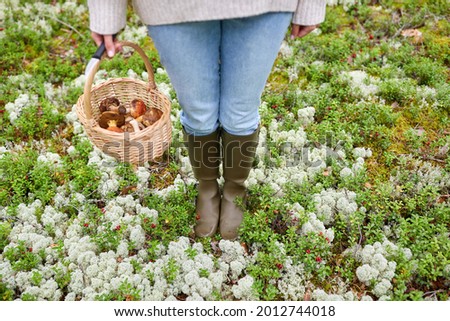 Similar – Image, Stock Photo Mushrooms in the forest