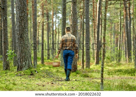 Similar – Image, Stock Photo Mushrooms in the forest