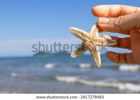 Picking Up Starfish While Beachcombing