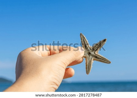 Picking Up Starfish While Beachcombing